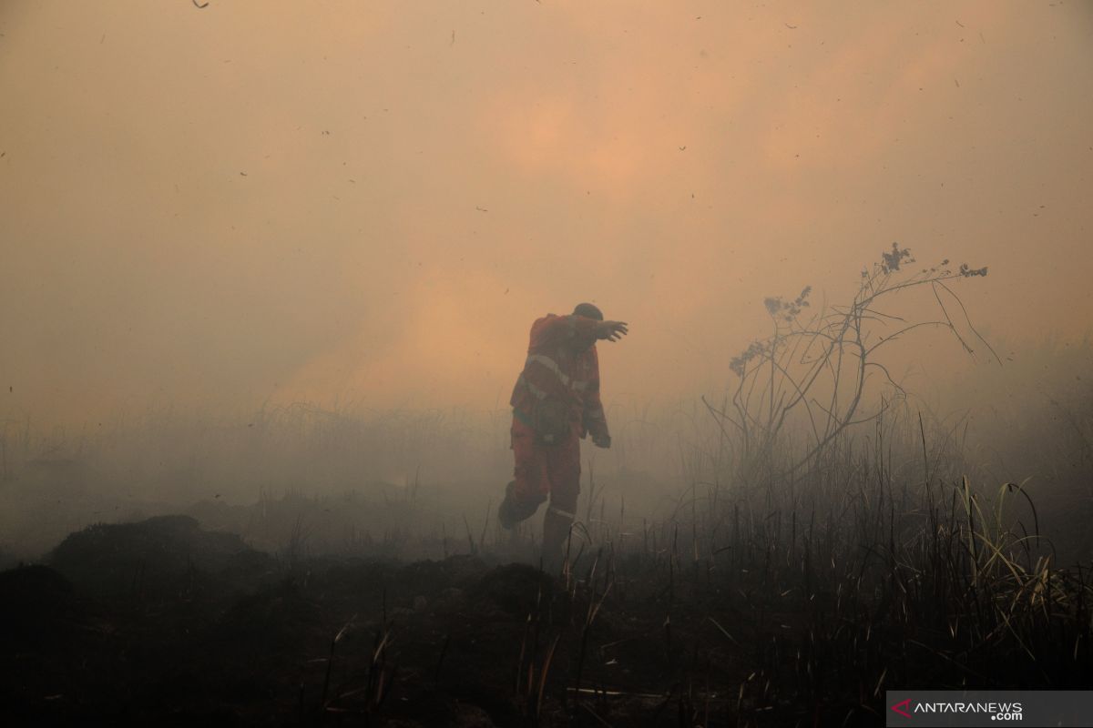 Asap karhutla Sumsel cemari udara Riau dan Jambi