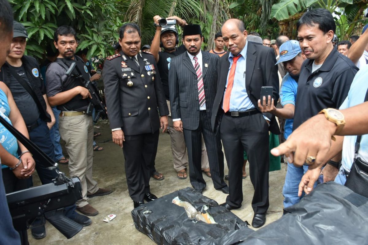 212 kg ganja kering diamankan BNN di Tebing Tinggi