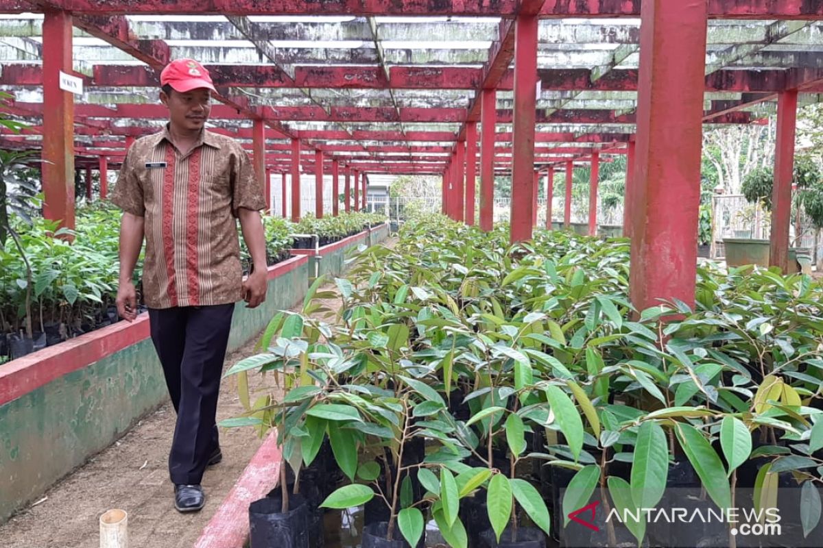 BBIH Distan TPH Kalbar kembangkan wisata Agroteknopark