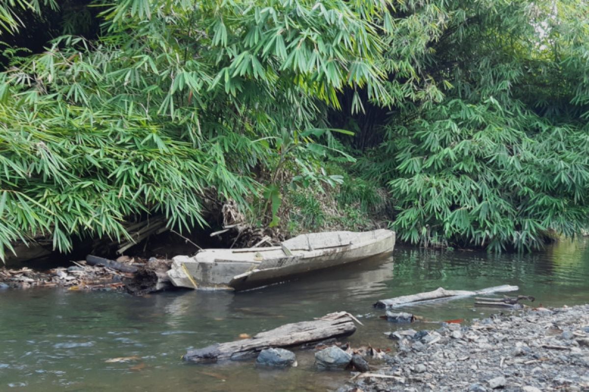 Penyelamatan Bajakah di Kalimantan