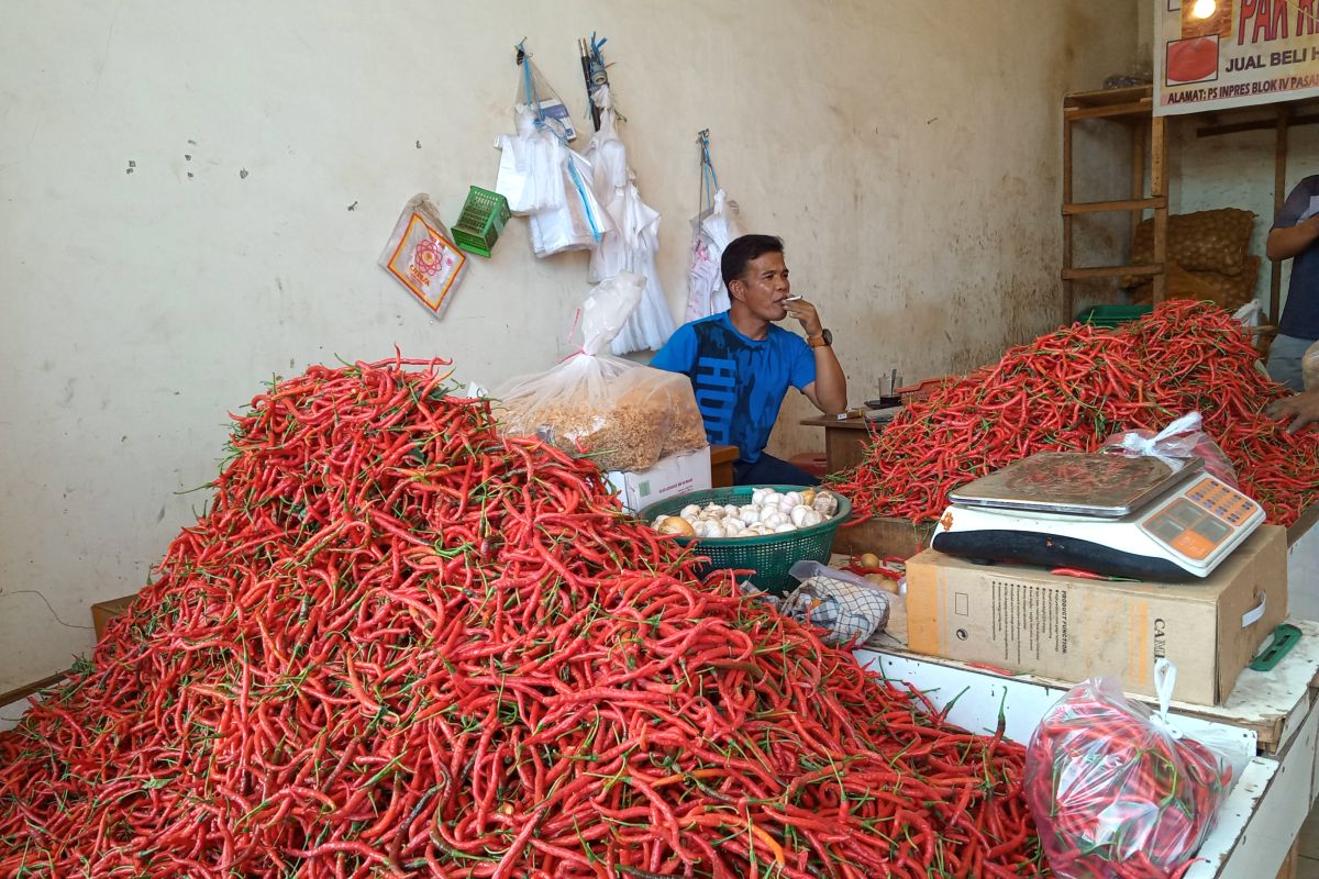 Harga Cabai di Padang Turun saat HUT RI