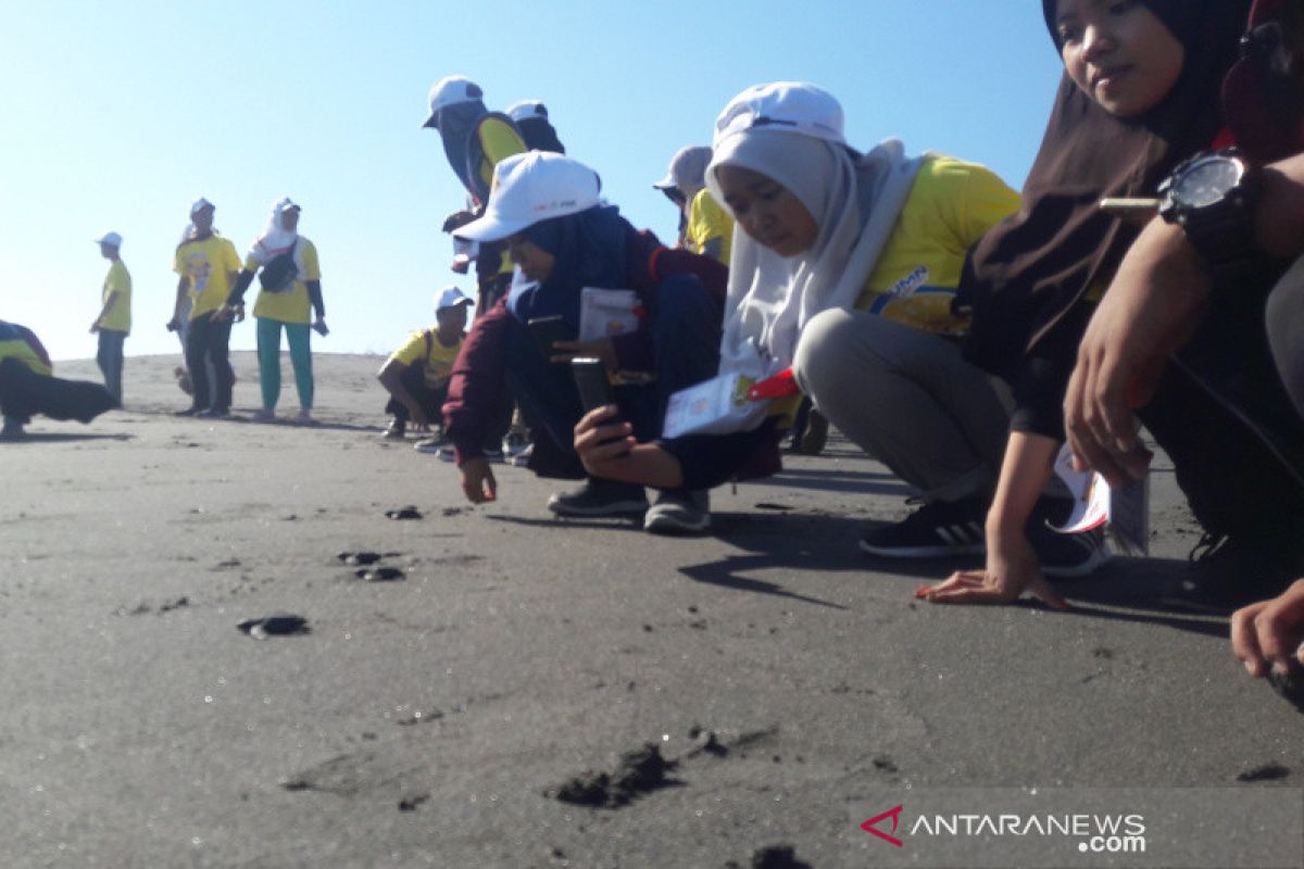 SMN 2019- 30 peserta SMN Riau lepas tukik di Pantai Pelangi Bantul