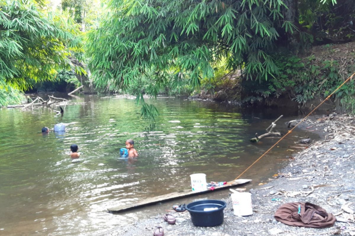 Penyelamatan "herbal ajaib" dari rimba Kalimantan