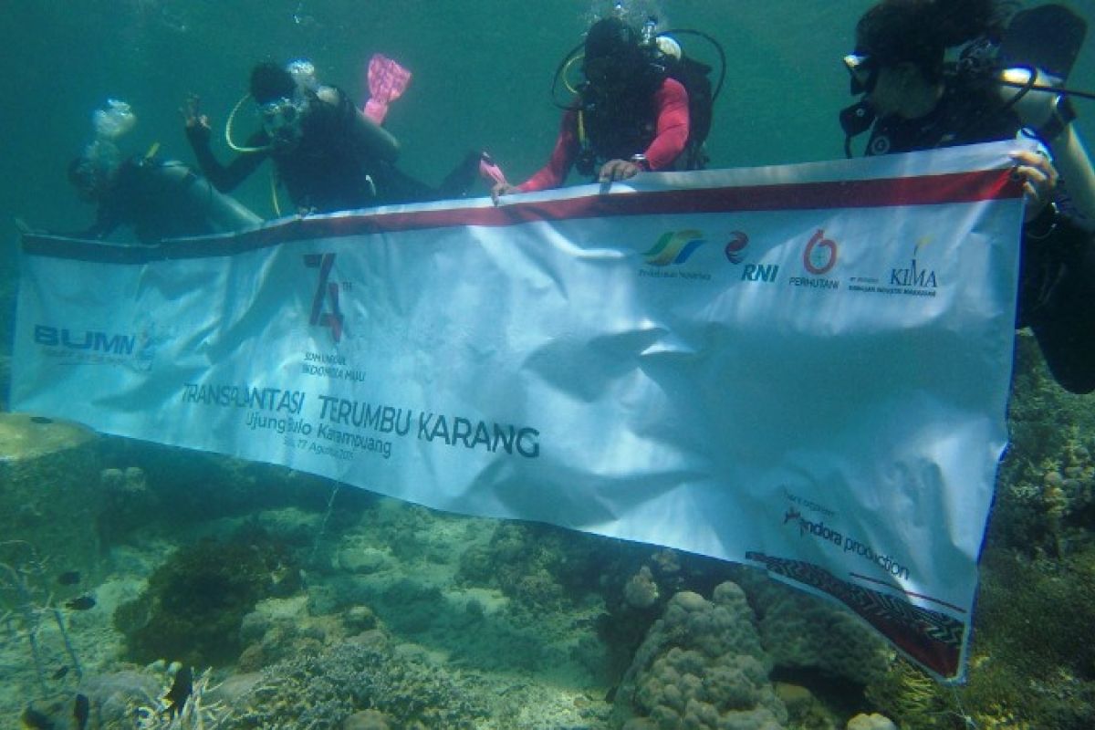 BUMN Hadir Untuk Negeri tanam bibit terumbu karang di Pulau Karampuang