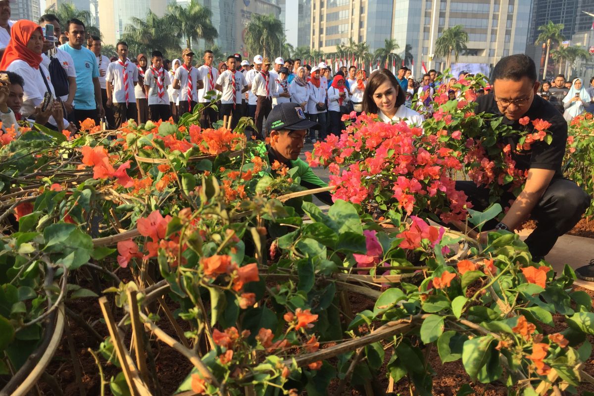 Ini argumen pemerintah Provinsi DKI kenapa pilih bougenville