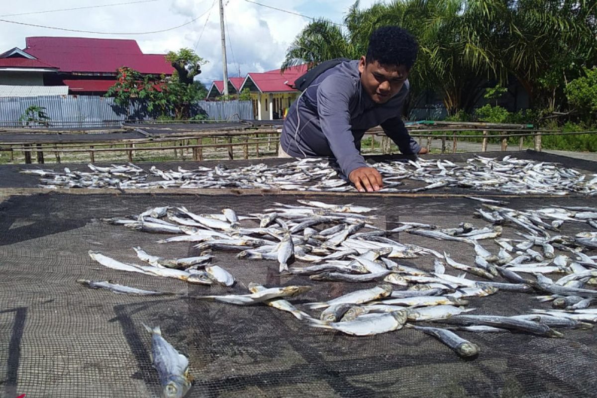 Produksi ikan asin di Agam berkurang hingga 50 persen