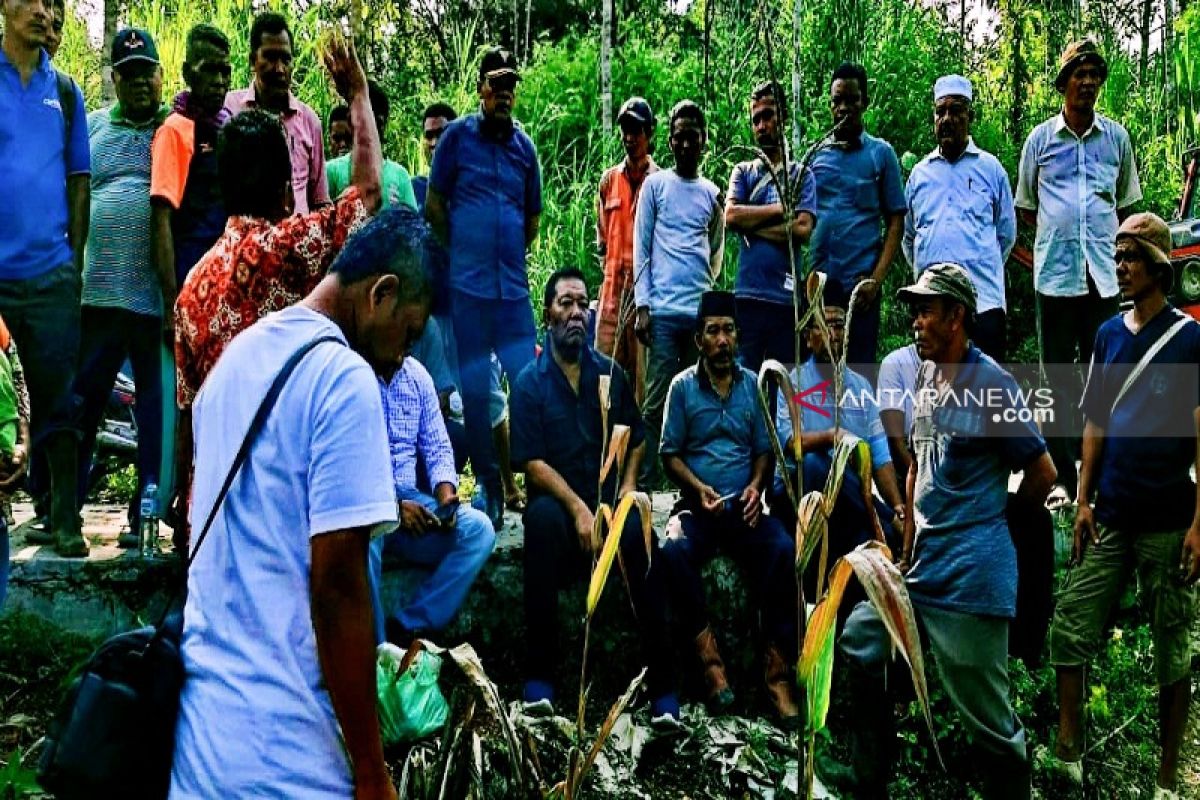 Bupati dan sejumlah SKPD tinjau Aek Macom dan Aek Tongor