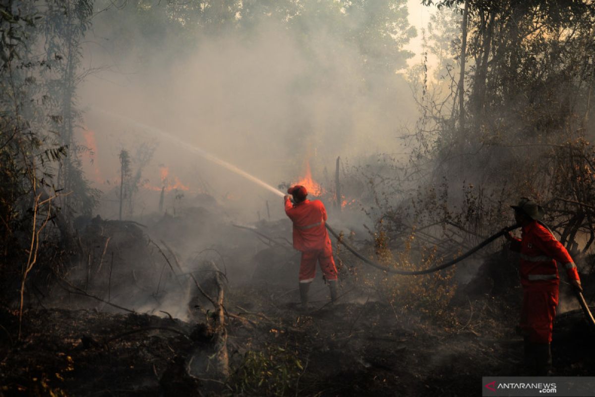 1.822 hektare hutan dan lahan di Sumsel terbakar