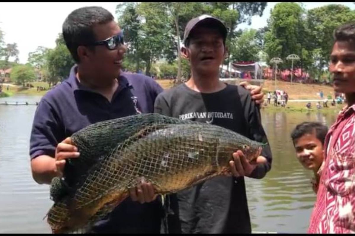 Bupati Romi larang seremoni di hiburan rakyat HUT RI