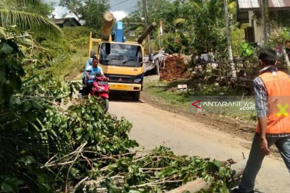 PLN atasi kerusakan jaringan listik di Aceh Barat akibat puting beliung