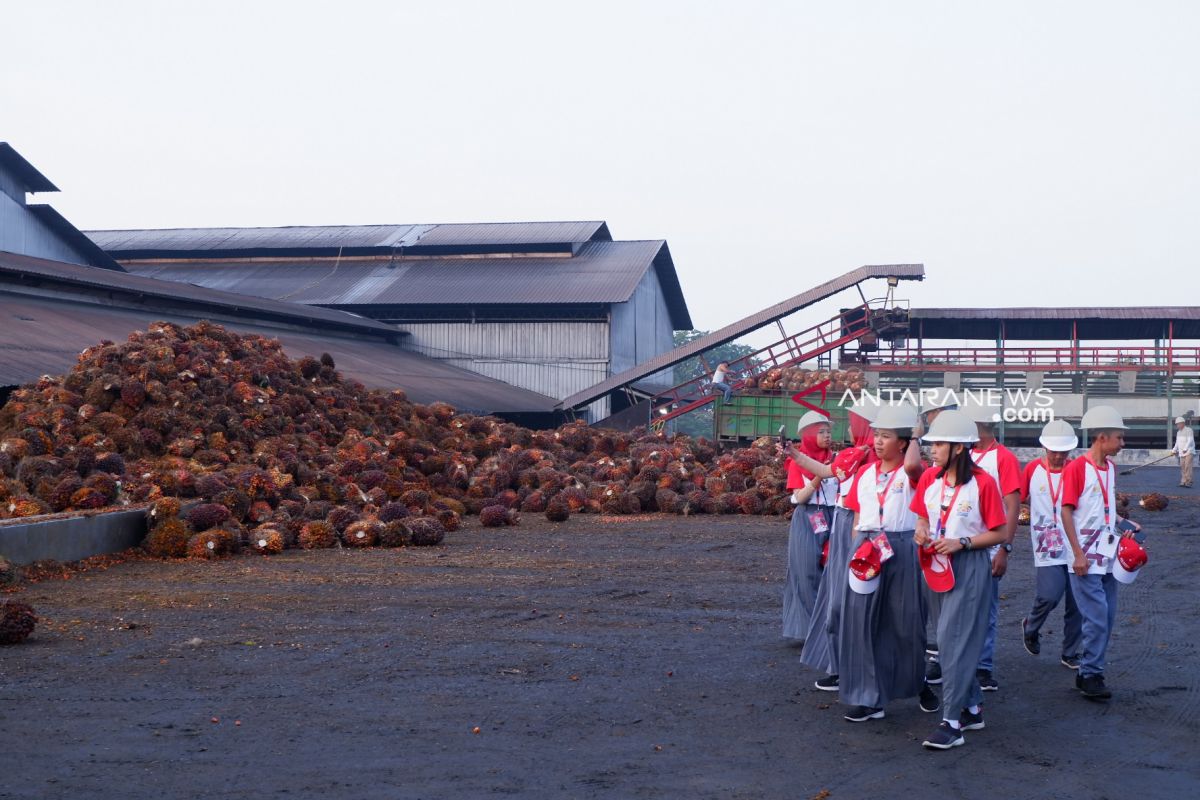 Peserta SMN Sulteng kunjungi pabrik kelapa sawit PTPN IV