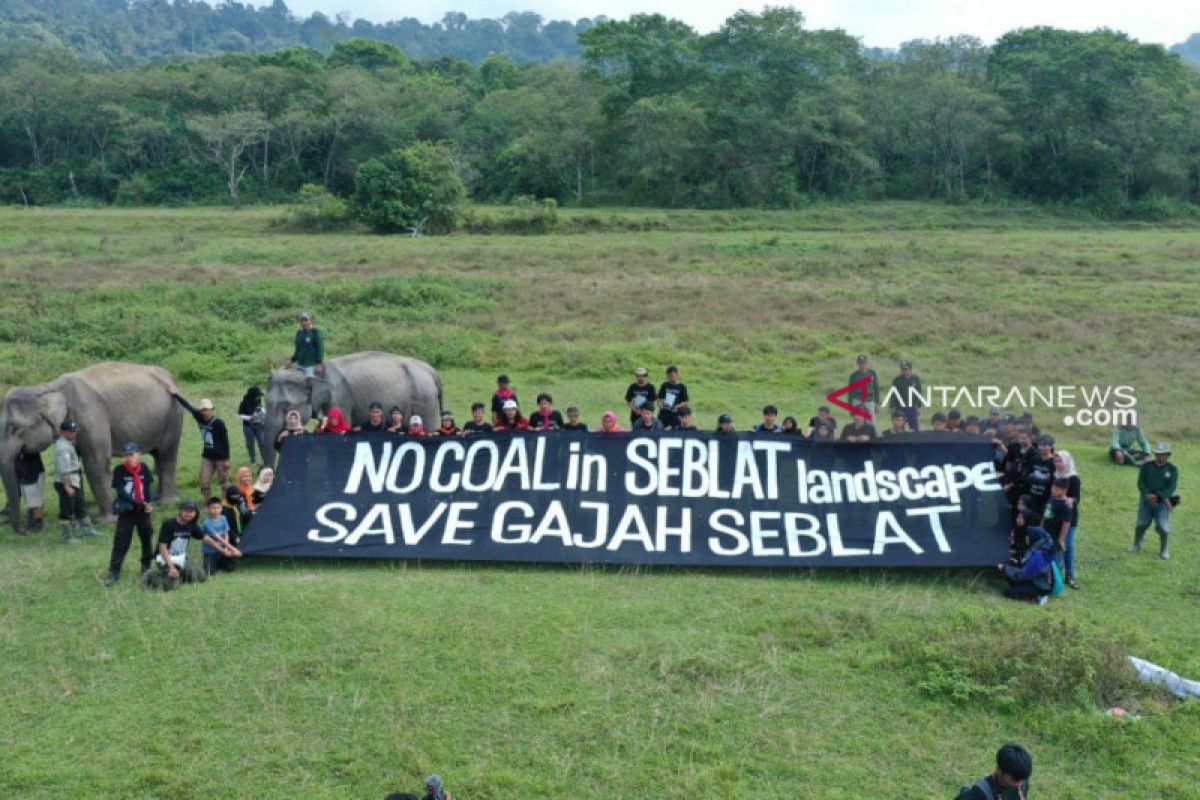 Aktivis bentangkan spanduk tolak tambang di habitat gajah Bengkulu