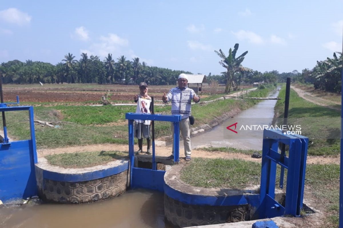 Dampak kemarau, debit air irigasi di Mukomuko-Bengkulu berkurang