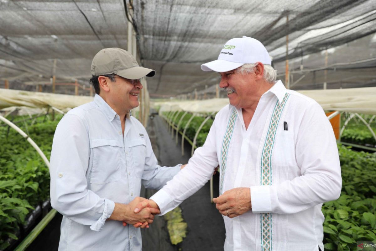 Honduras tanami lahan kosong, jamin pasokan makanan di masa pandemi