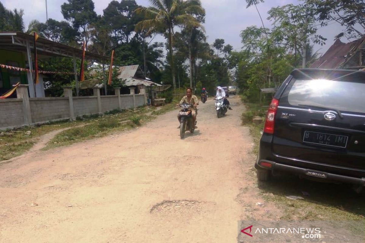 Masyarakat Aripan tanam padi di jalan berlubang