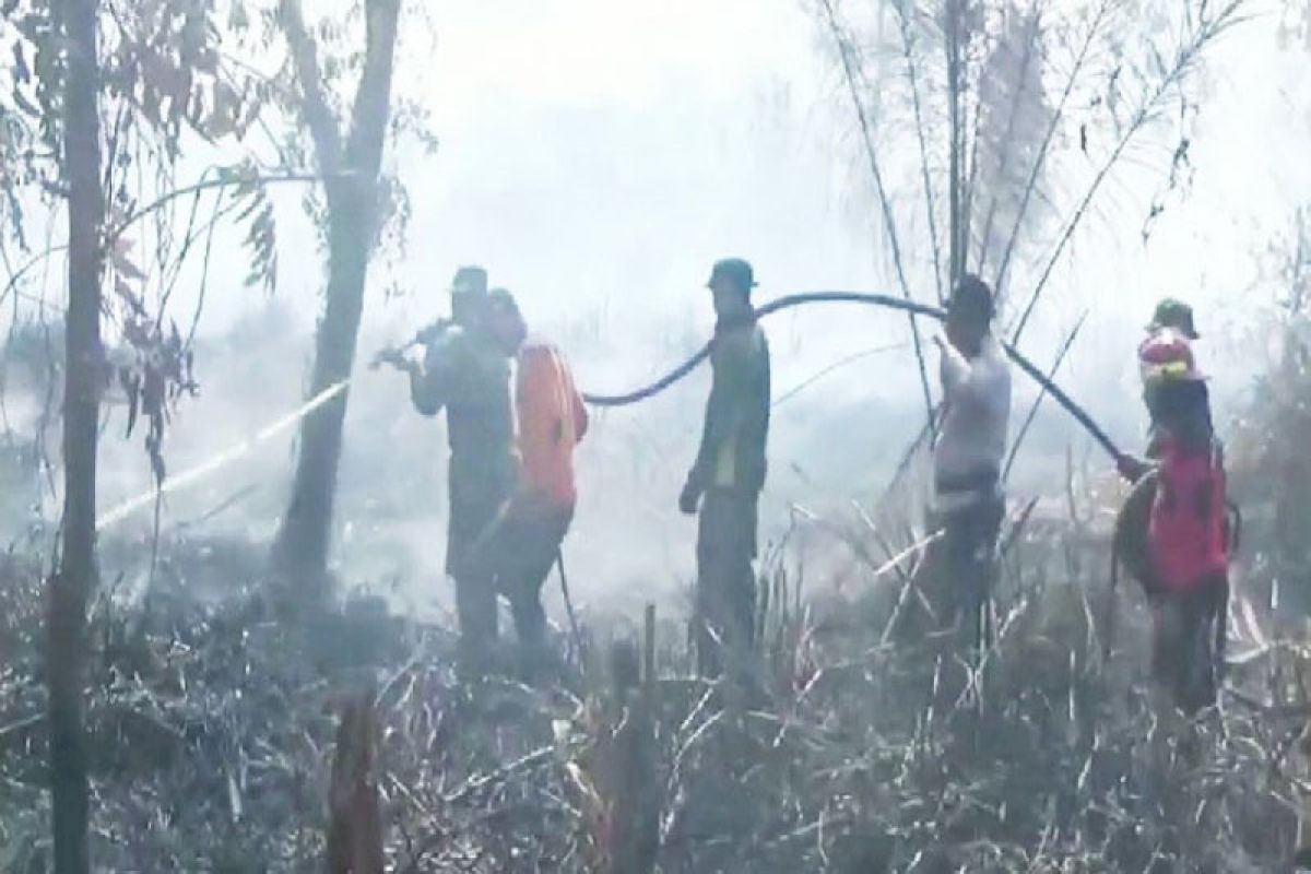 Satwa liar masuk ke permukiman akibat terdesak  kebakaran lahan