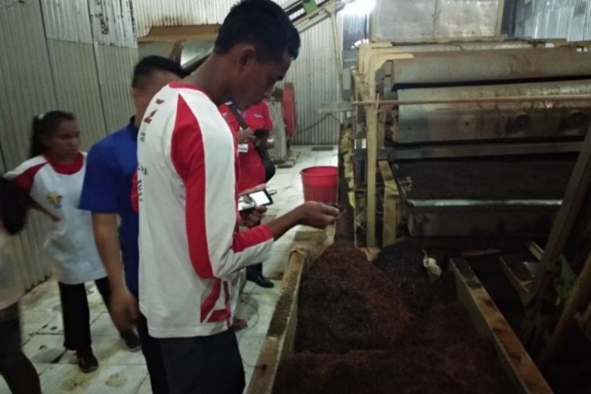 SMN 2019 NTT tinjau proses pembuatan teh Kayu Aro di Kabupaten Kerinci
