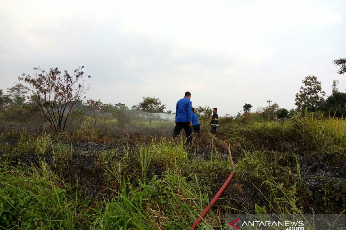 Seluas 5.500 meter persegi  lahan terbakar selama Agustus