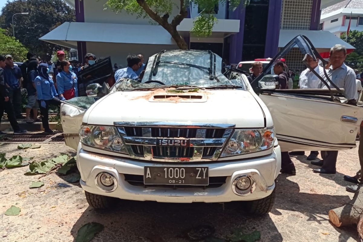 Orangtua mahasiswa Universitas Pancasila tewas tertimpa pohon