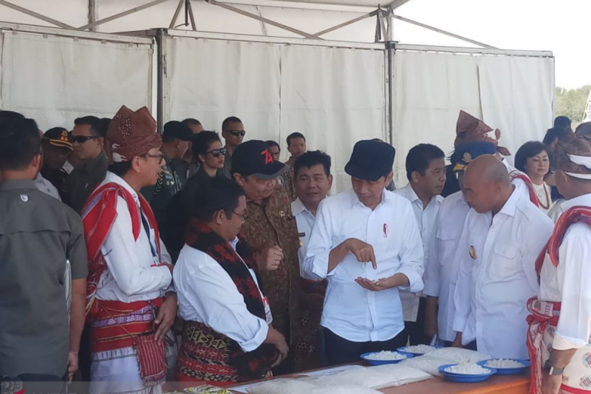 Presiden Jokowi tinjau tambak di desa Nunkurus