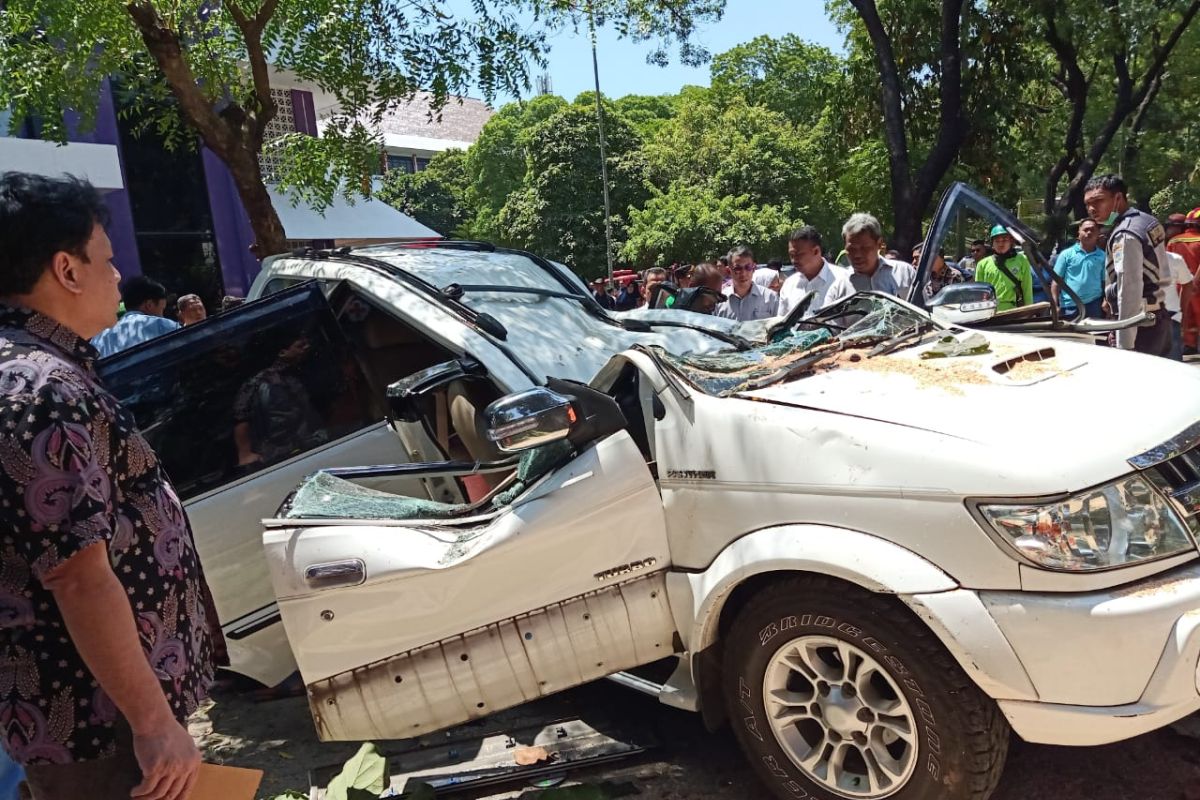Pohon tumbang tewaskan satu orang di parkiran Universitas Pancasila