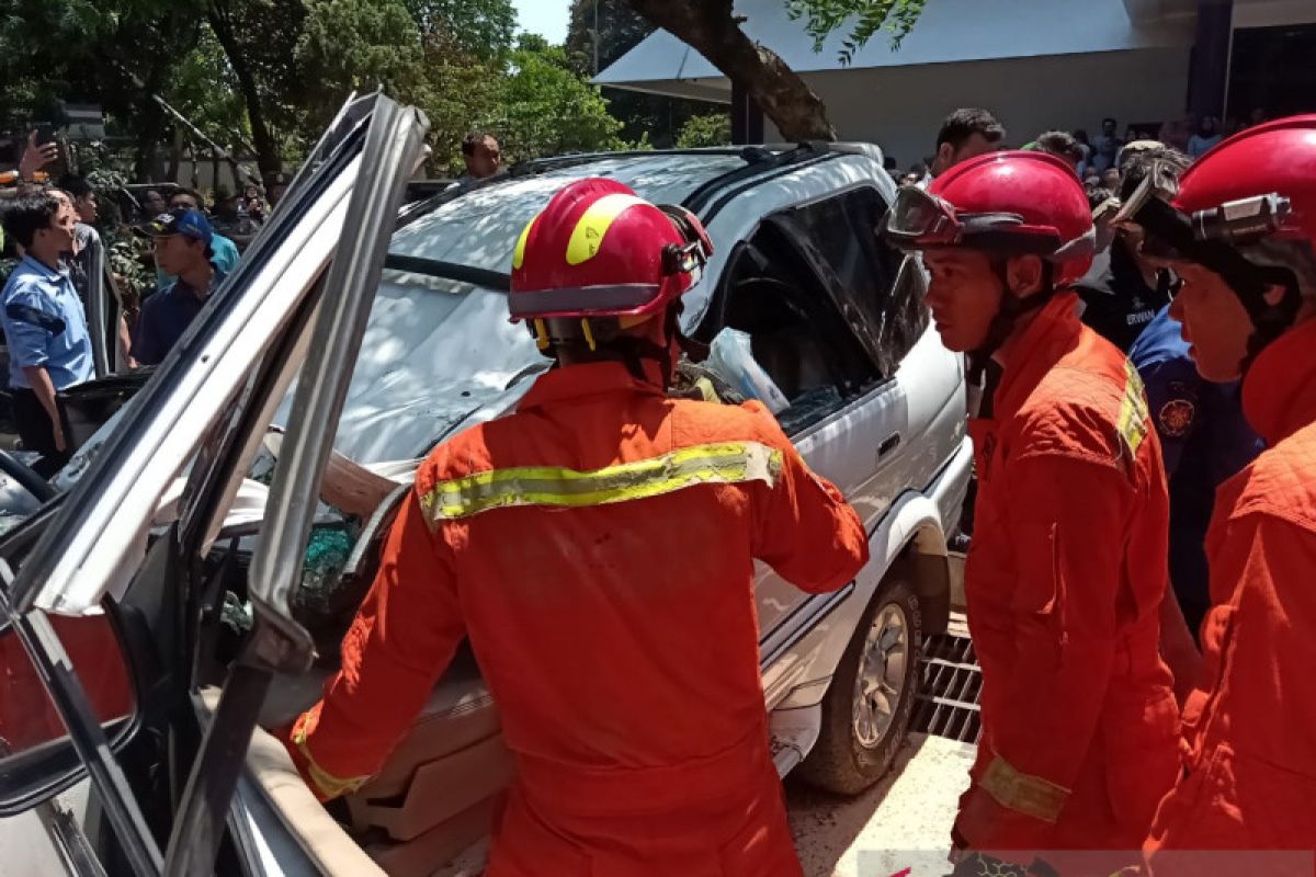 Angin kencang diduga sebabkan pohon tumbang di Universitas Pancasila