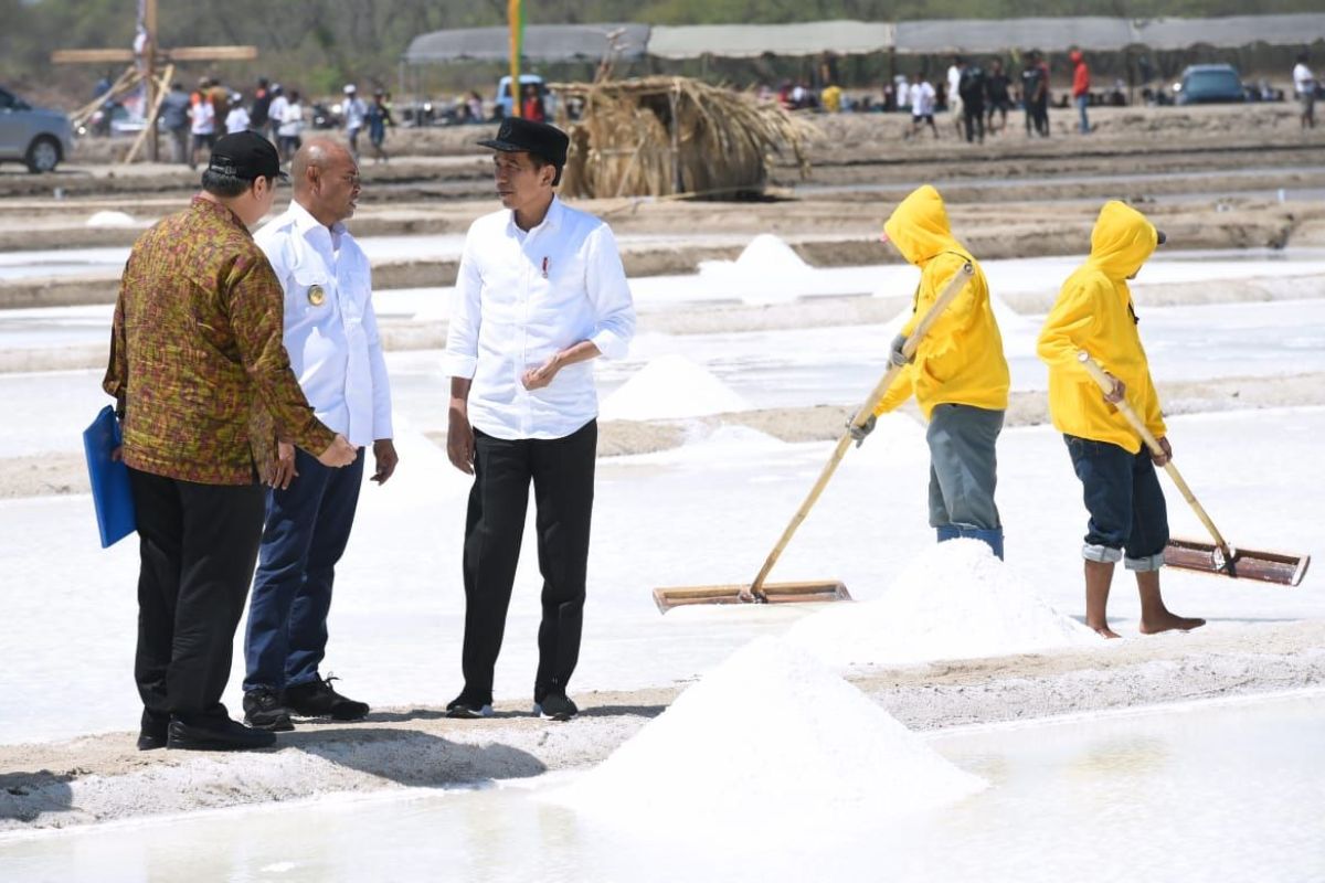 Presiden Jokowi ingin memastikan kekurangan garam mulai diatasi