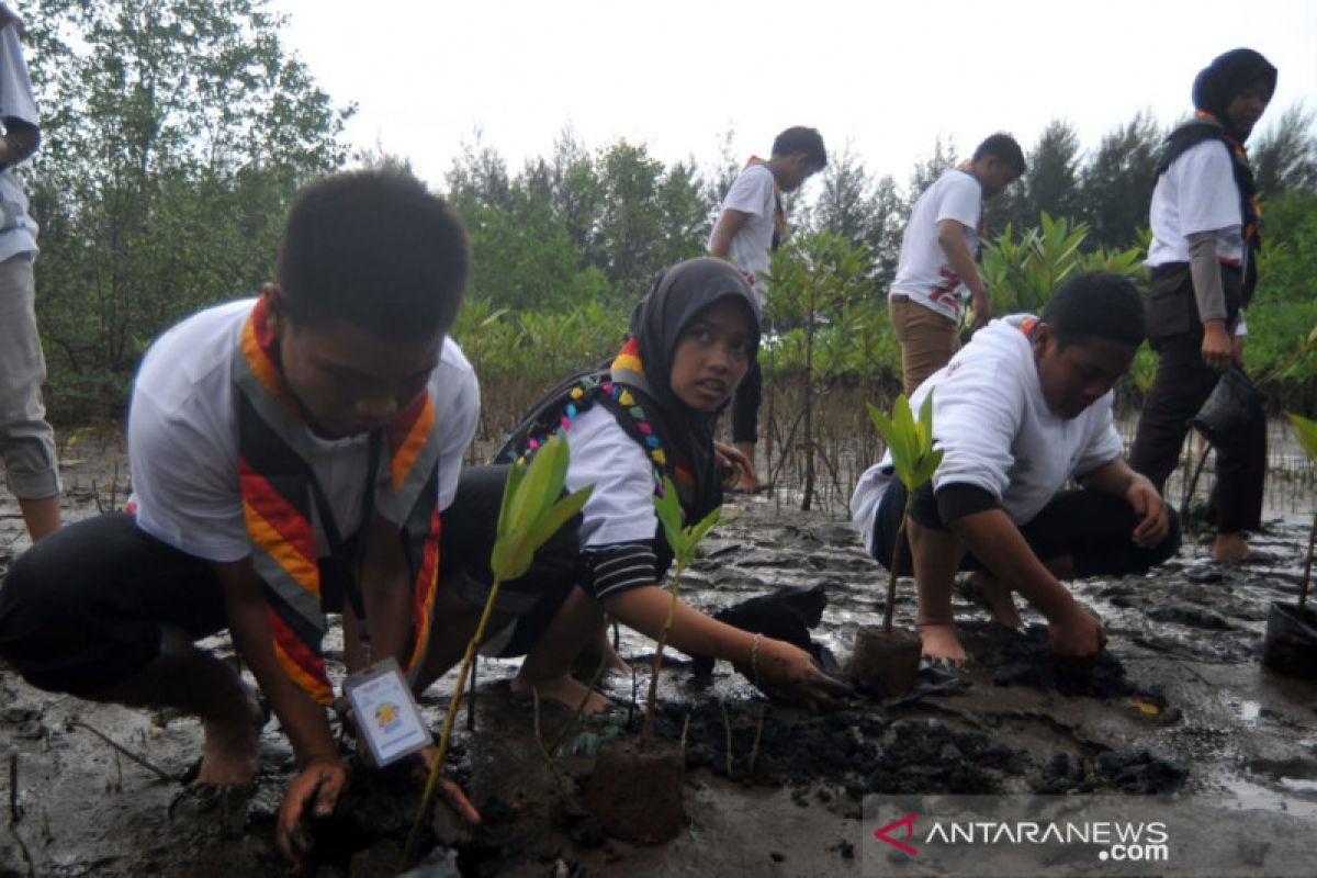 SMN Kalsel tanam mangrove dan lepas tukik di Kota Pariaman