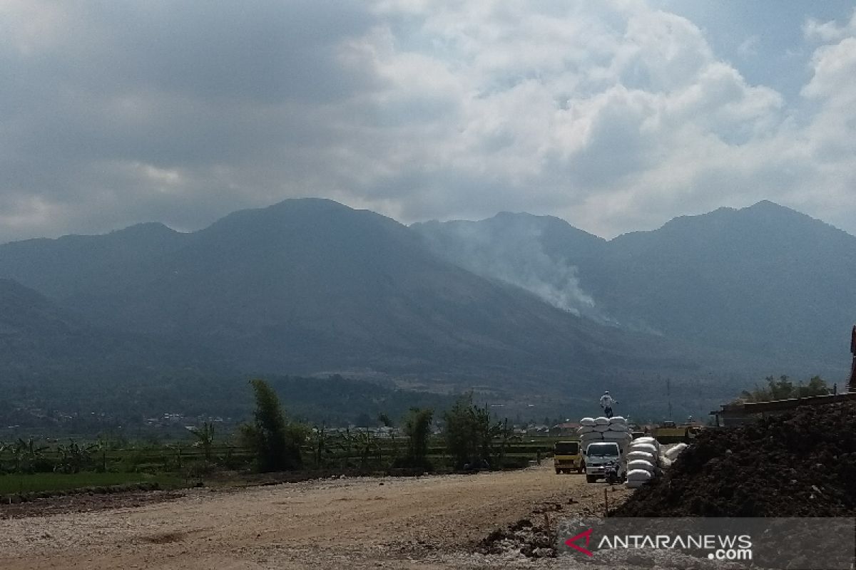 Lahan hutan Gunung Guntur terbakar, petugas gabungan berupaya padamkan api