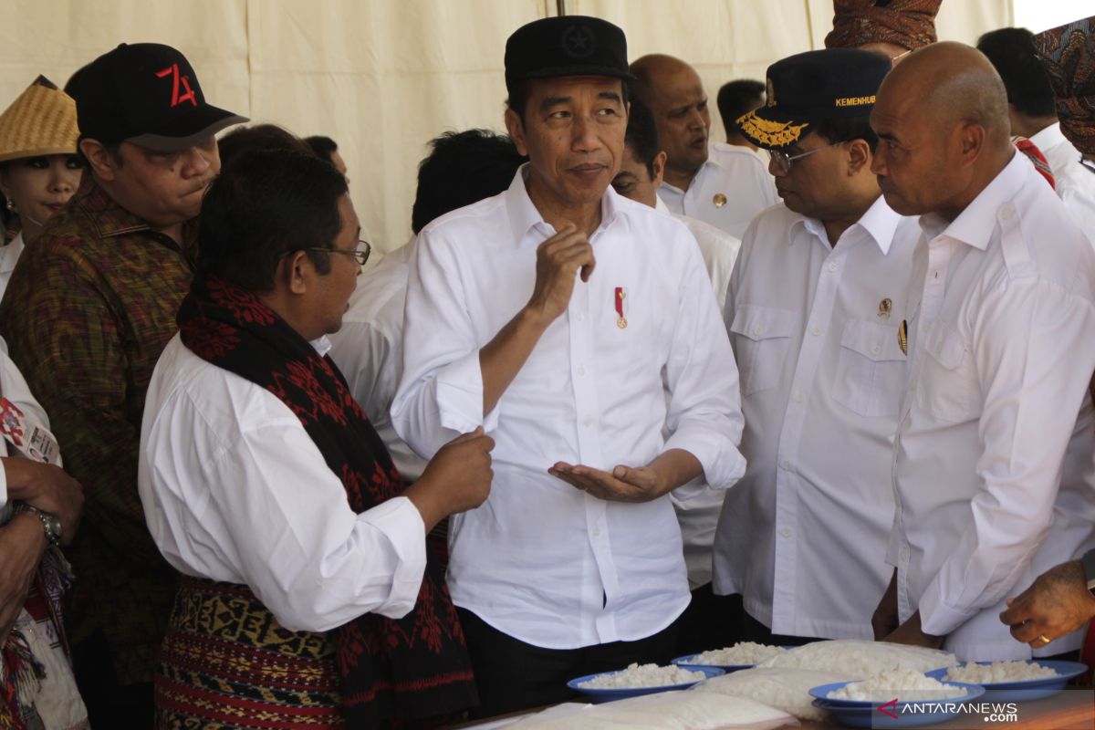 Presiden sebut keadaan di Papua sudah dalam kondisi yang baik