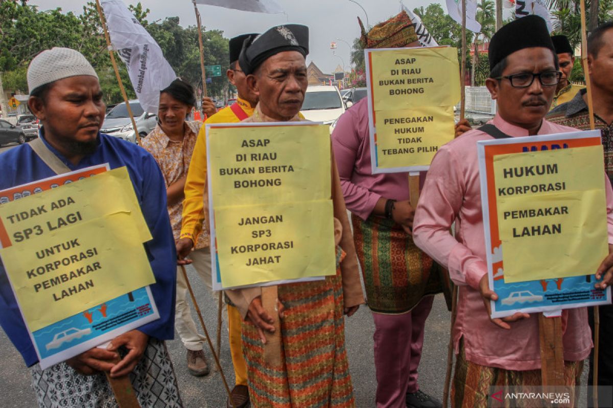 BNPB: Kebakaran lahan paling luas di NTT tanpa asap