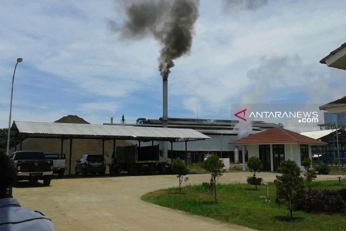 Pabrik minyak kelapa sawit di Mukomuko diminta tanam pohon atasi pencemaran udara