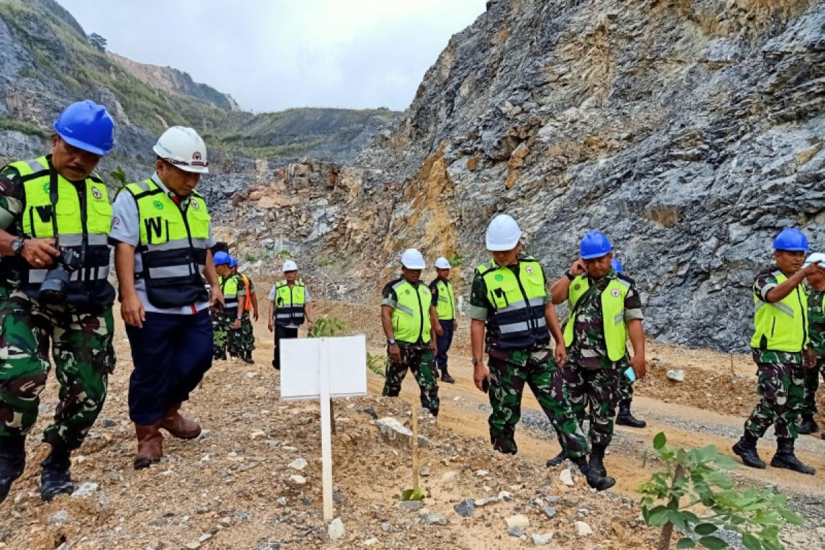 Pohon yang ditanam di areal bekas tambang Semen Padang mulai tumbuh