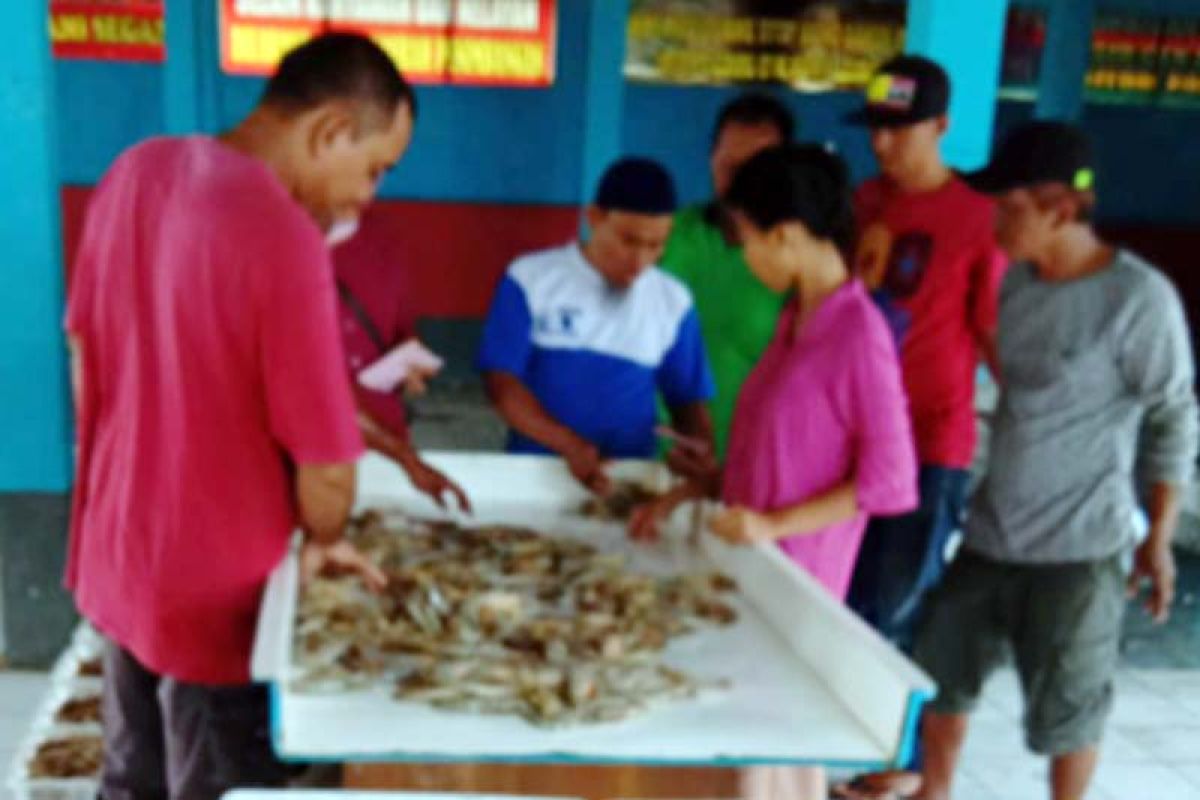 Pendapatan nelayan Teluk Penyu Cilacap anjlok