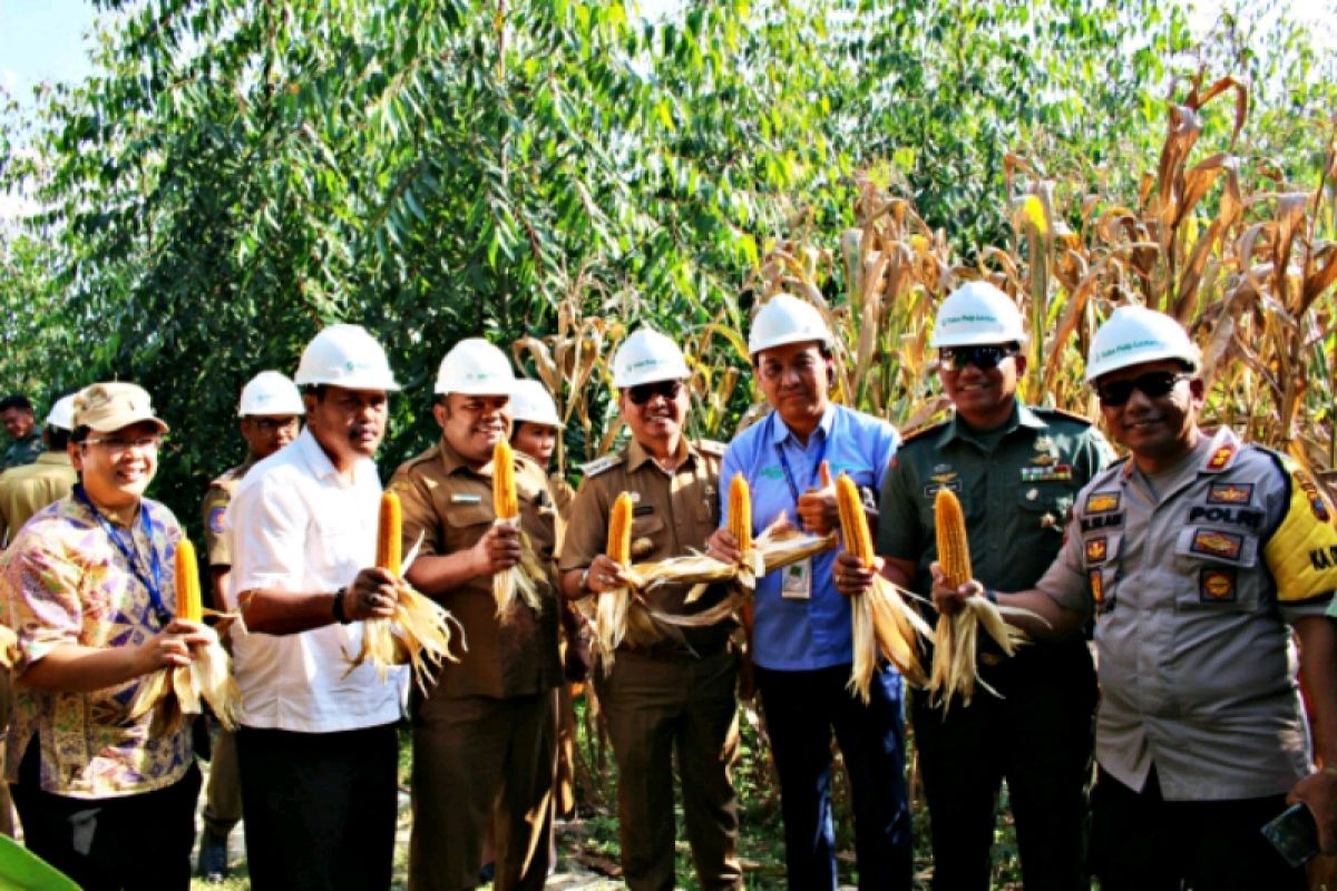 Bupati Taput apresiasi TPL sebagai mitra terbuka kepada seluruh pihak