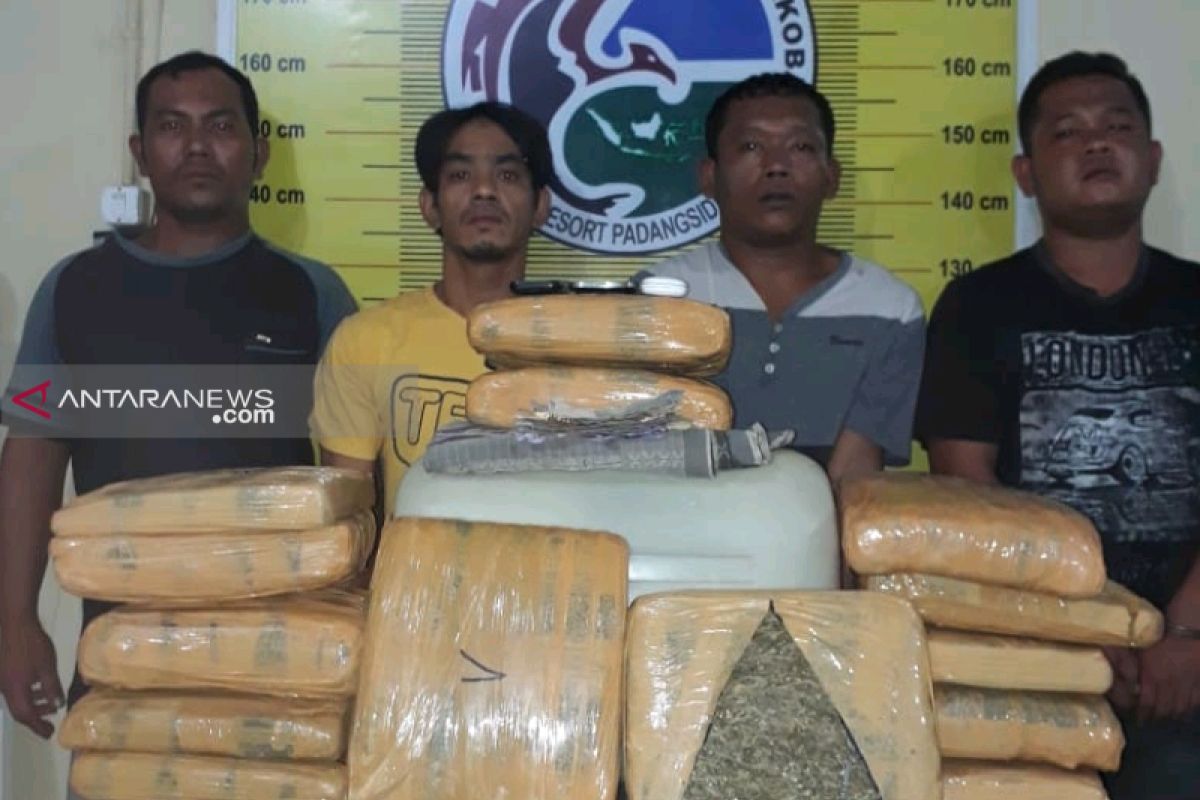 Polres Padangsidimpuan gagalkan peredaran 15 kg ganja