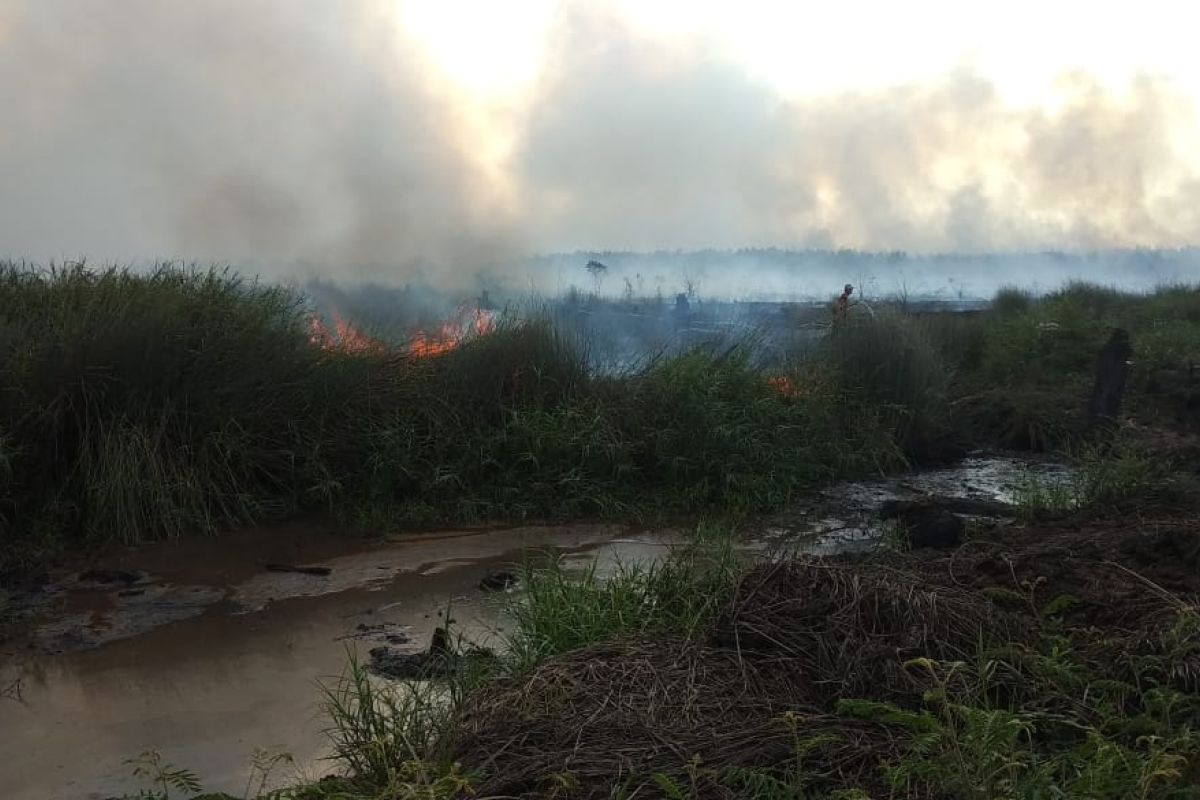 Pembakar lahan ditangkap Satgas Kebakaran Hutan dan Lahan Musi Rawas