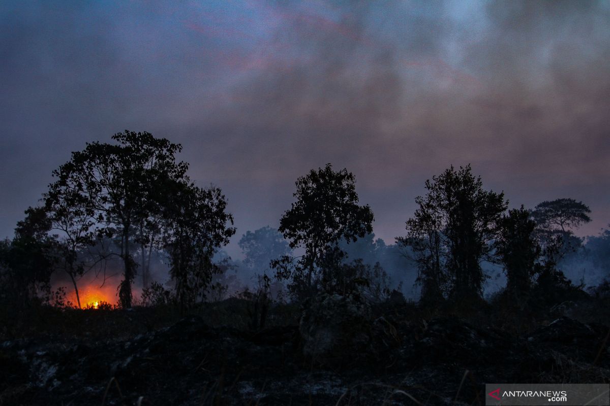 358 titik panas merubung di  pulau Sumatera, Riau mendominasi