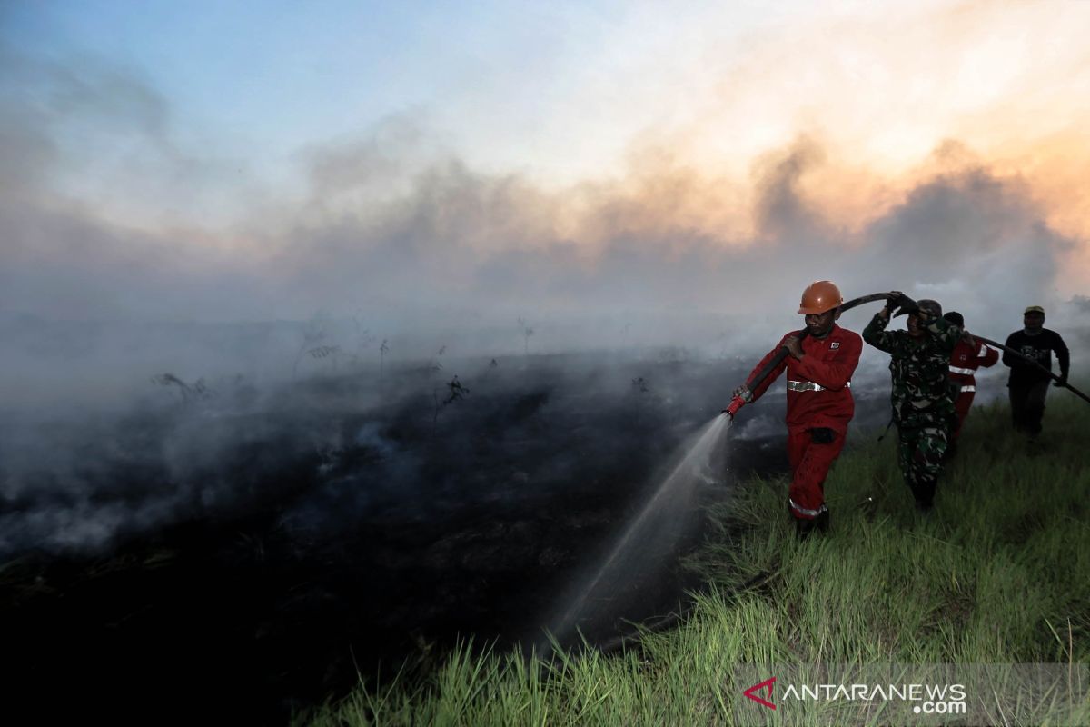 Luas area yang terbakar di Sumatera Selatan capai 1.822 hektare