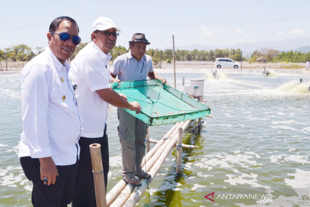 Arif Latjuba: tambak udang intensif pola kemitraan di Donggala perlu ditiru daerah lain