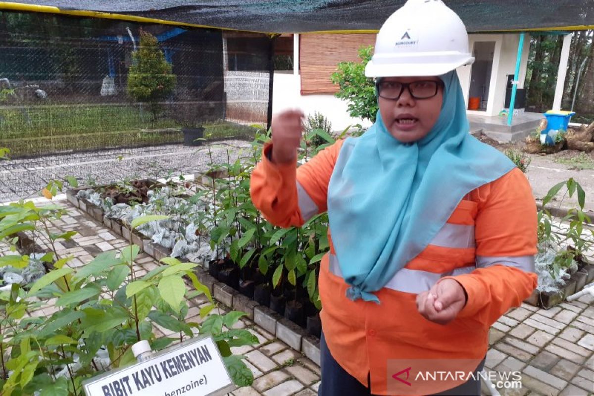 Tambang Emas Martabe rehabilitasi lahan seluas 3,81 hektare