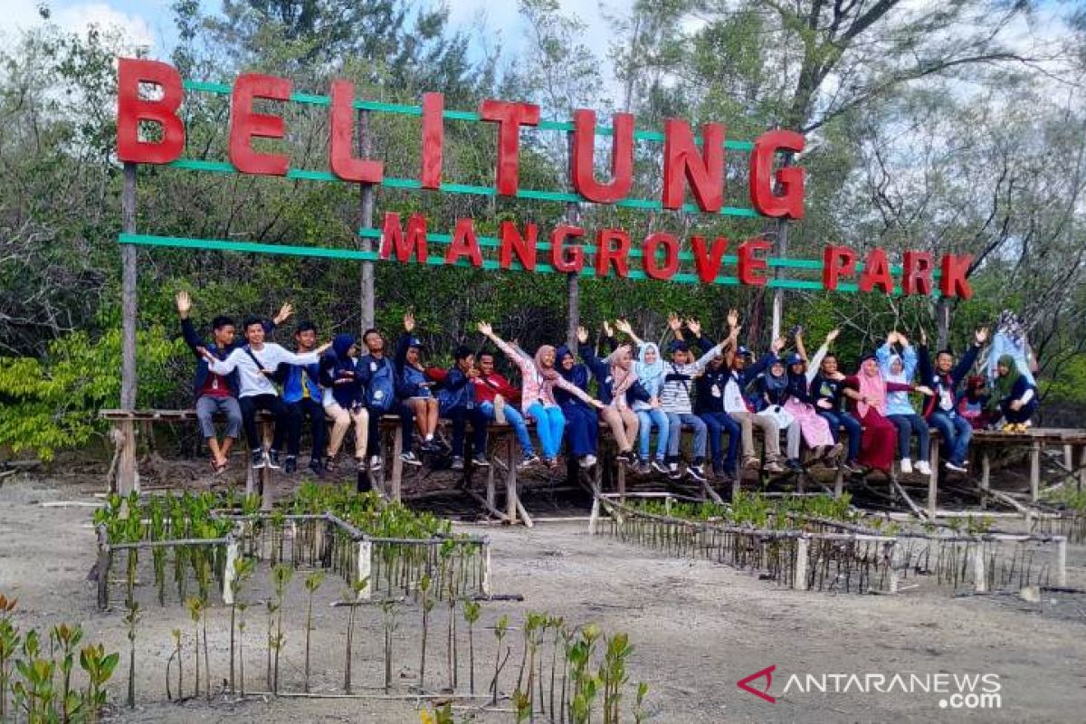 SMN asal Sulawesi Tenggara kunjungi Belitung Mangrove Park