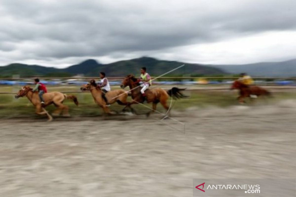 Pacuan kuda tradisional dongkrak kunjungan wisatawan ke  Takengon