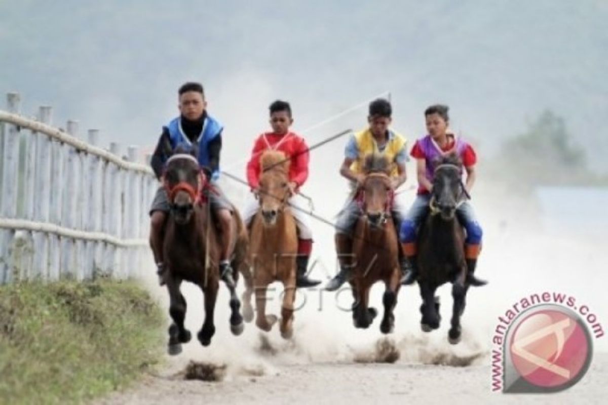 330 ekor kuda ikuti pacuan tradisional di Takengon