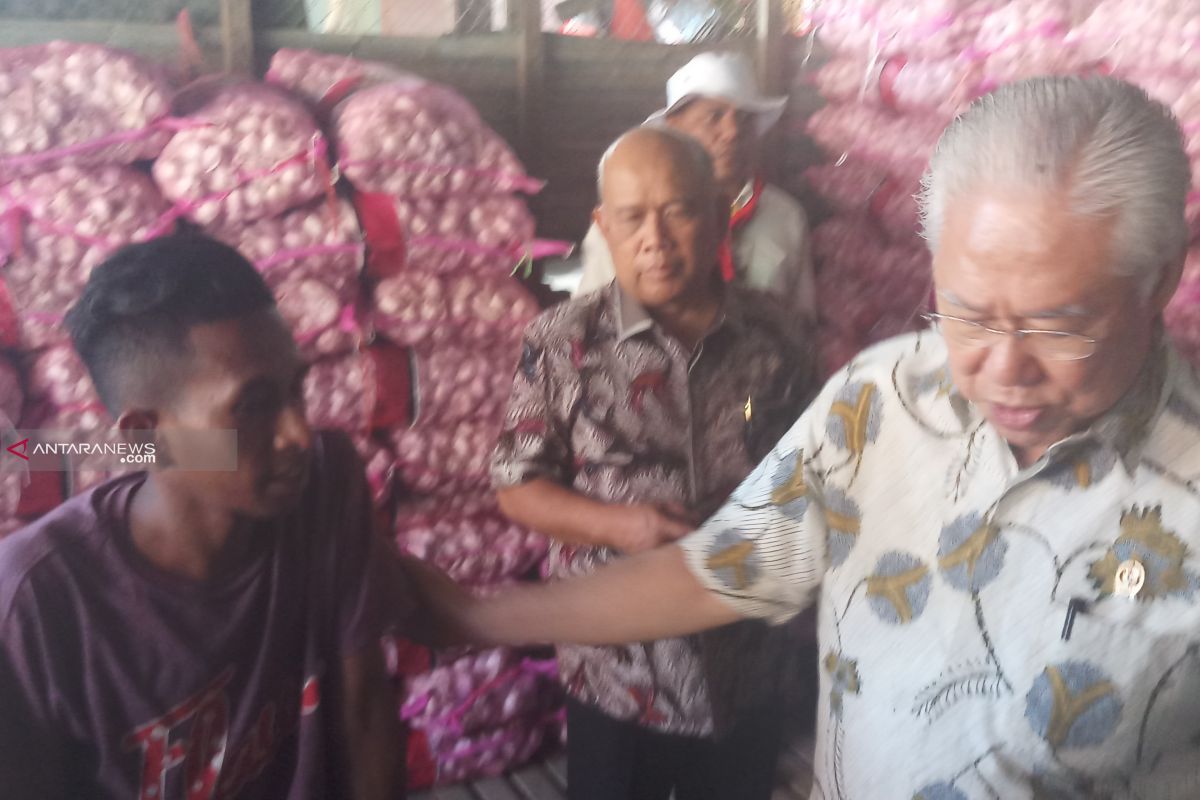 Mendag telusuri penyebab harga bawang putih di Kupang tinggi