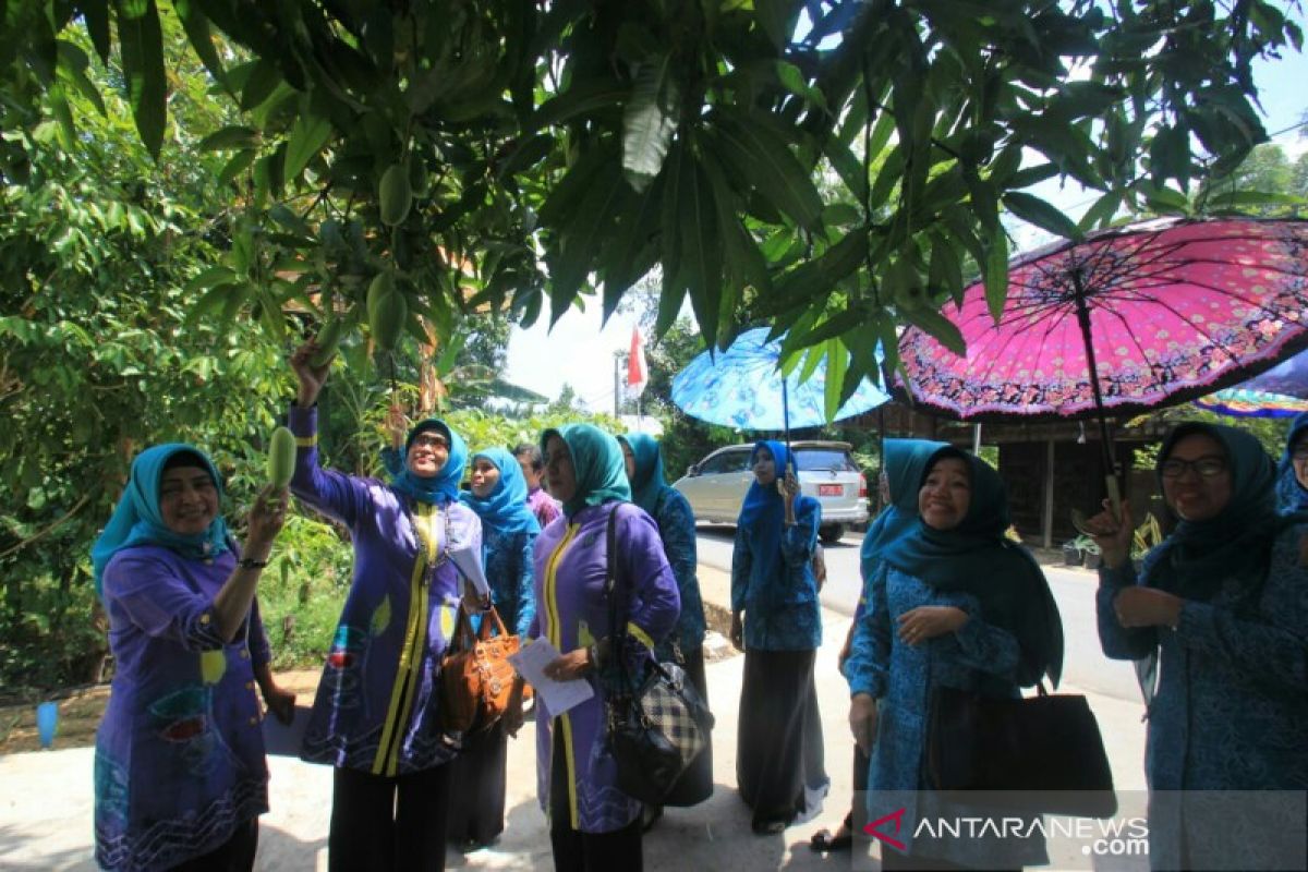 PKK Kalsel tergiur buah pekarangan warga Tigarun