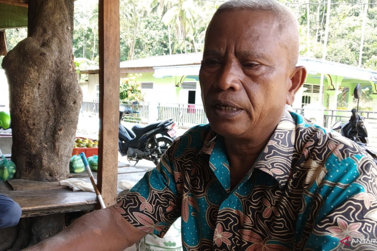 Ratusan Hektare Sawah Di Tanjung Ameh Tanah Datar Kekeringan Akibat