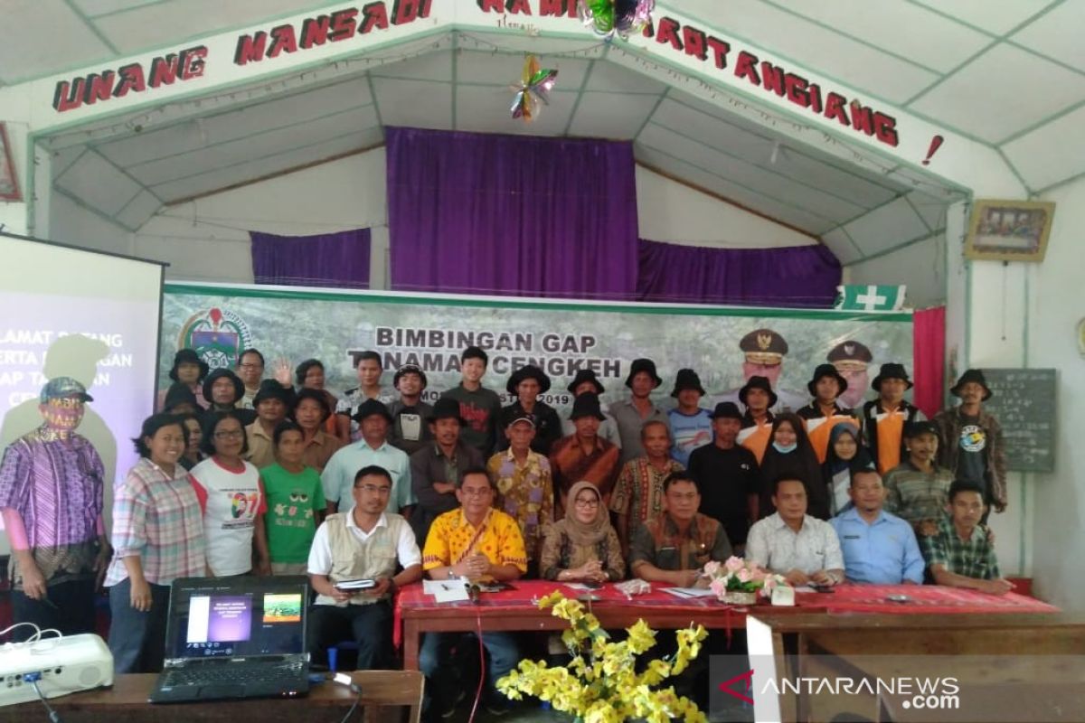 Polbangtan Medan ikut bimbingan GAP tanaman cengkeh di Samosir