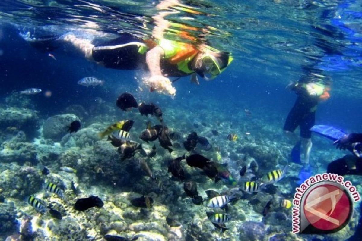 Pulau Lembeh-Bitung disiapkan jadi destinasi wisata kelas dunia