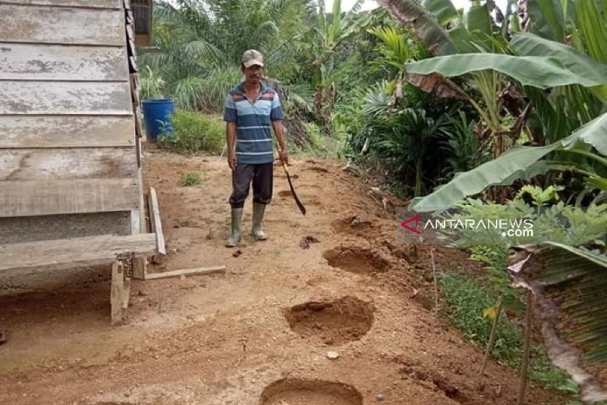 Puluhan warga Nagan Raya Aceh mengungsi akibat amukan gajah